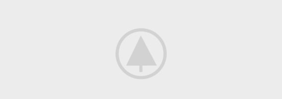 wood portfolio placeholder