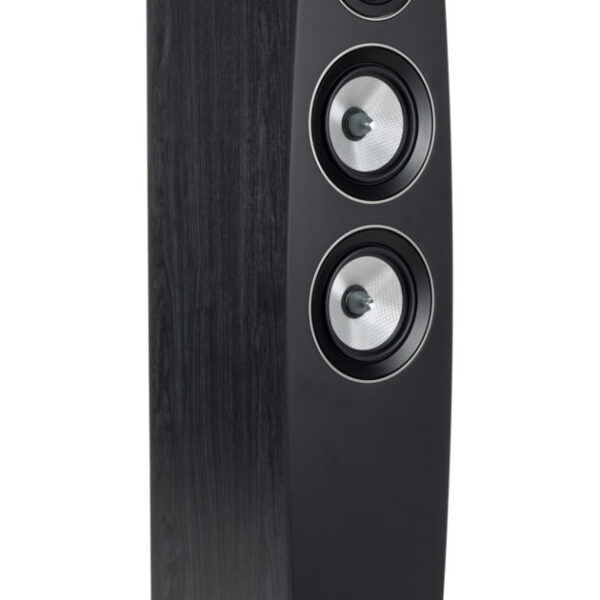 C 95 II Floorstanding Speaker_62014d2965990.jpeg