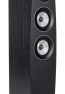 C 95 II Floorstanding Speaker_62014d2965990.jpeg